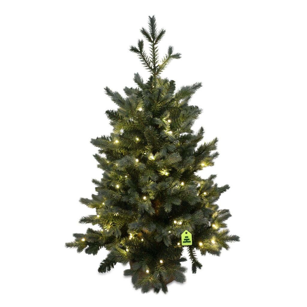 Smrk Modrý 100 LED 90 cm
