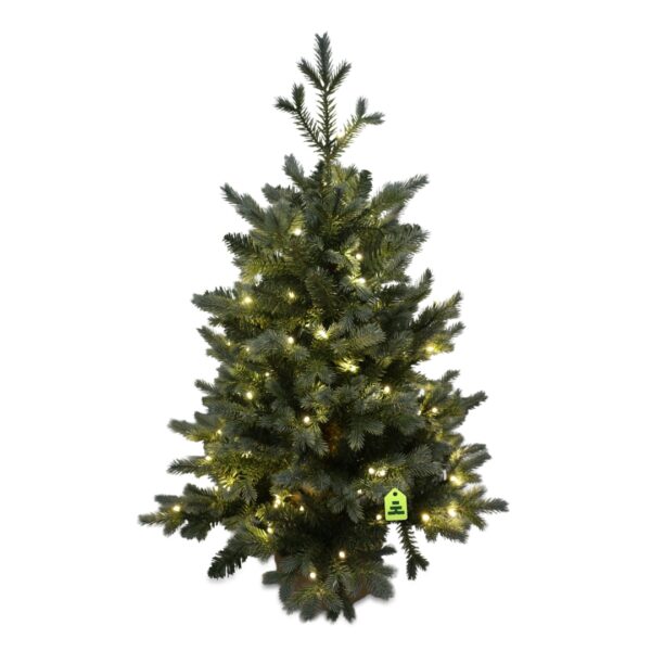 Smrk Modrý 100 LED 90 cm