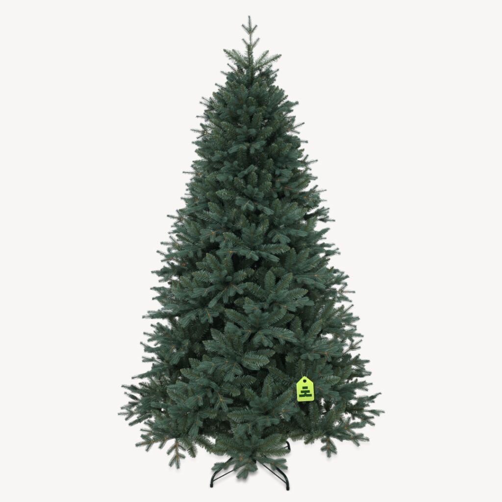 Smrk Stříbrný 210 cm