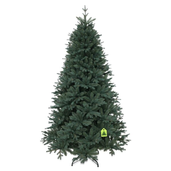 Smrk Stříbrný 210 cm