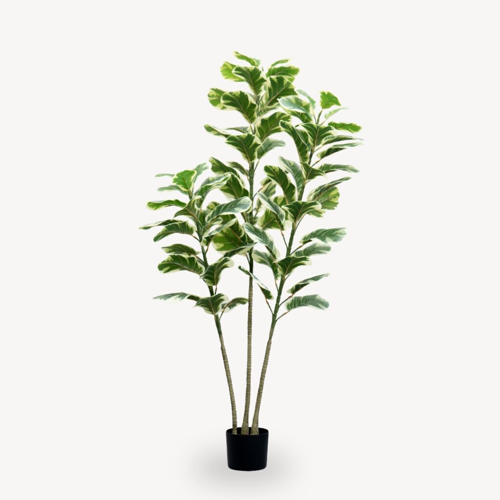 Umělý Ficus Lyrata 150 cm