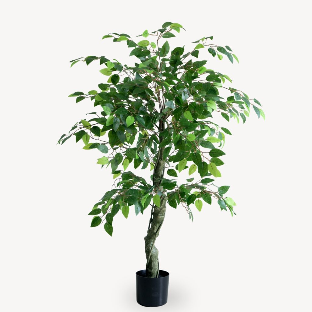 Umělý Ficus Vícepatrový 150 cm