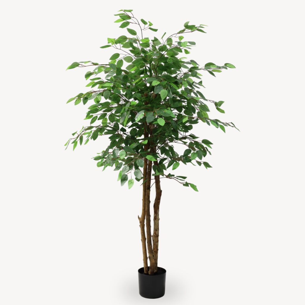 Umělý Ficus Zelený 180 cm
