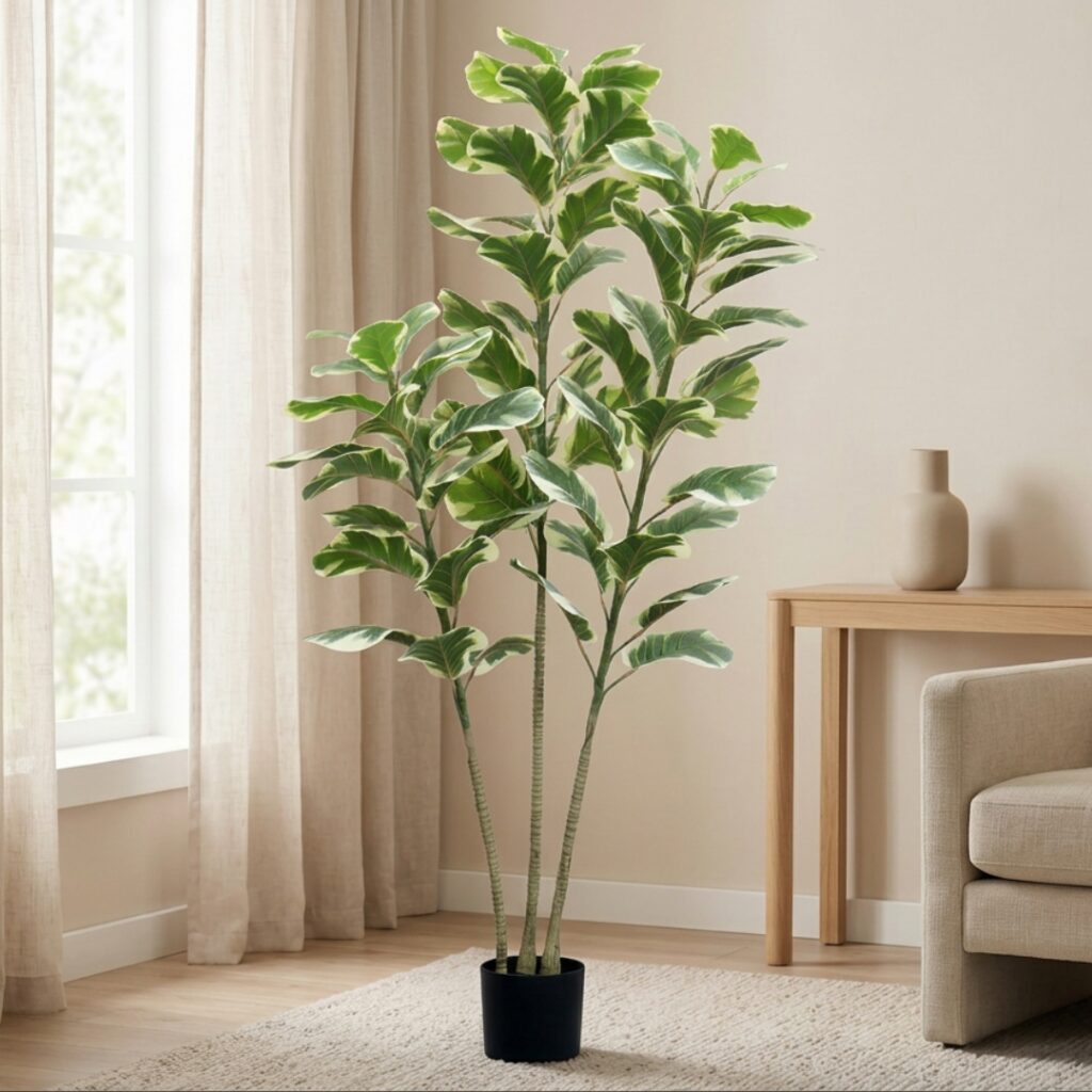 Umělý Ficus Lyrata 180 cm - produktová galerie