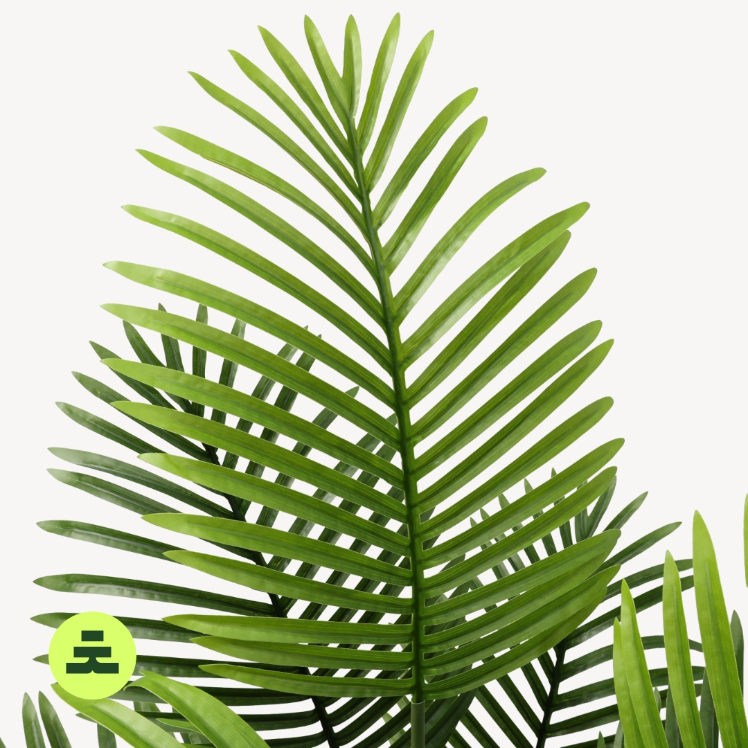 Umělá Palma Areca 160 cm - Obrázek 3