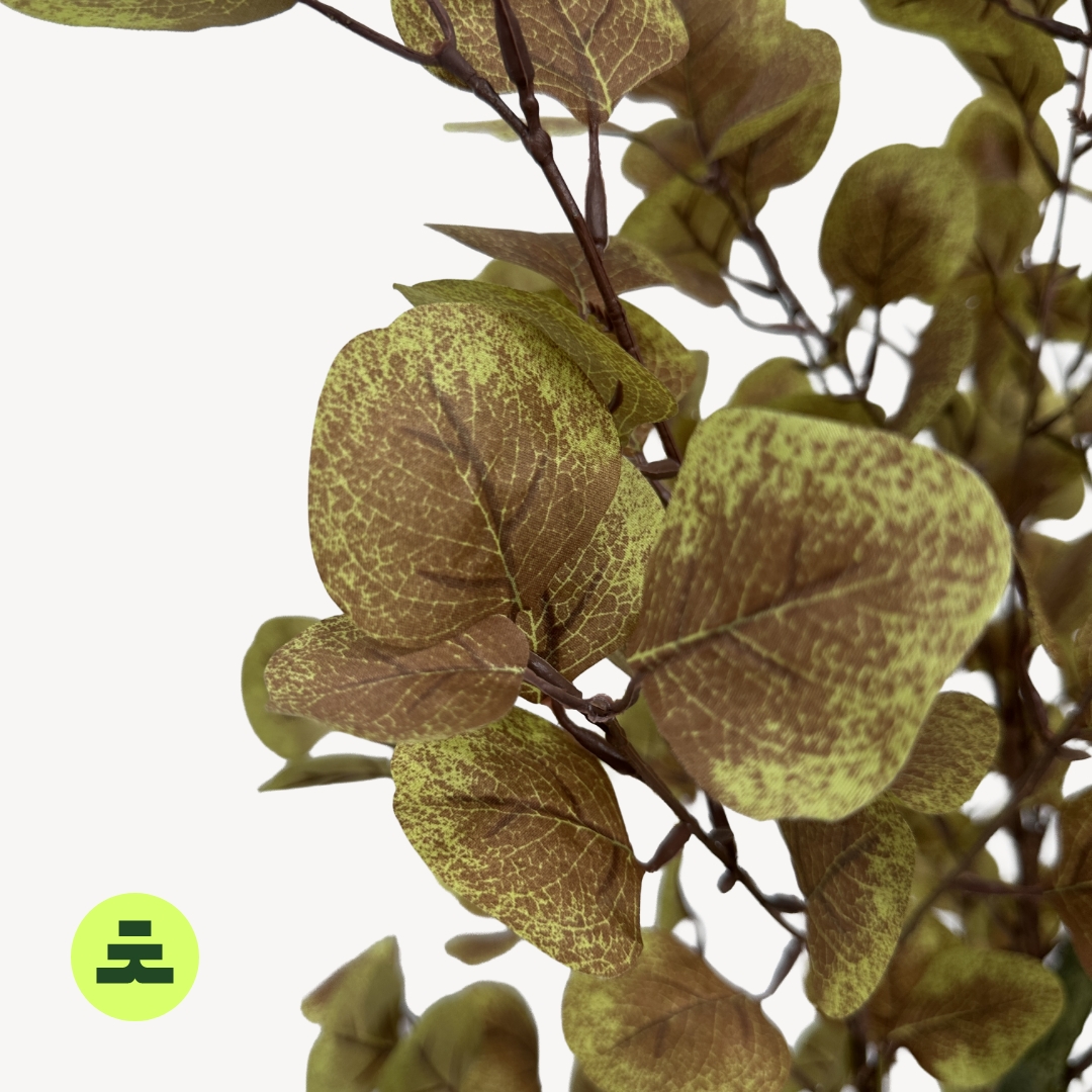 Umělý Eucalyptus (podzimní zbarvení) 180 cm - Obrázek 4