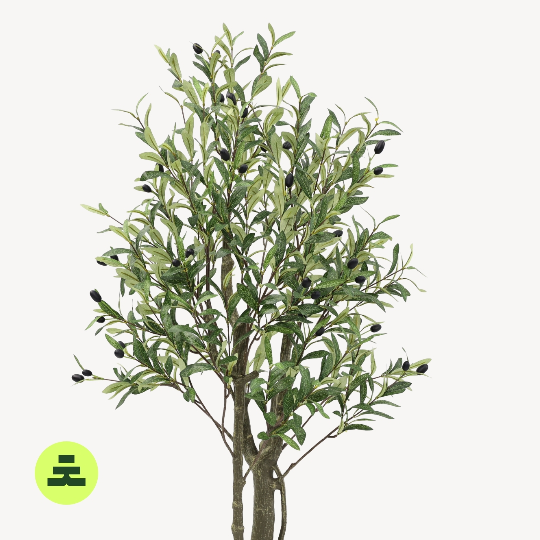 Umělý Olivovník Hnědý 150 cm - Obrázek 4